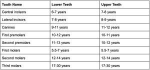 when permanent teeth are expected to appear