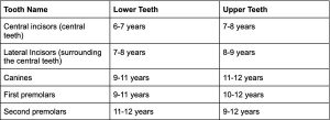 when your child can expect to lose their teeth