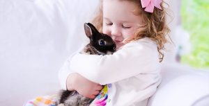 The Best Pets For Kids