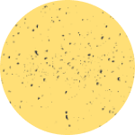 shape image